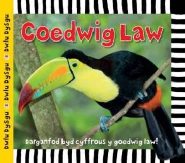 Cyfres Dwlu Dysgu: Coedwig Law - Sarah Powell