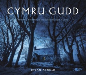 Cymru Gudd - Dylan Arnold