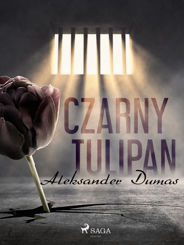 Czarny tulipan - Aleksander Dumas