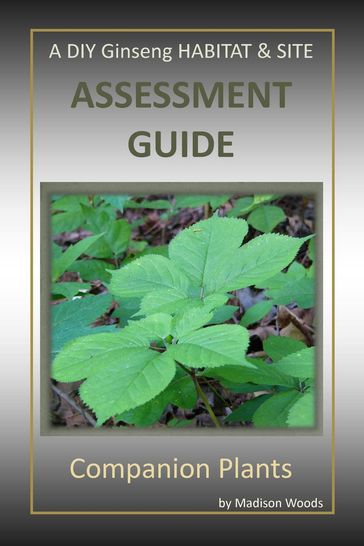 A DIY Ginseng Habitat & Site Assessment Guide - Madison Woods