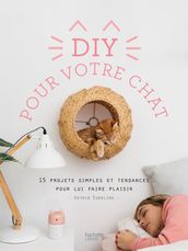 DIY pour votre chat