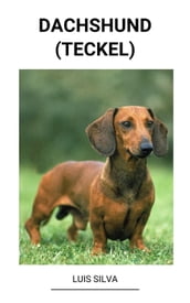 Dachshund (Teckel)