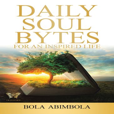 Daily Soul Bytes - BOLA ABIMBOLA