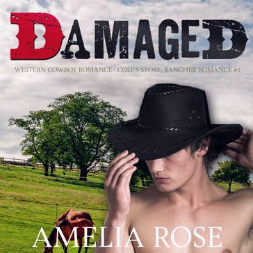 Damaged - Amelia Rose