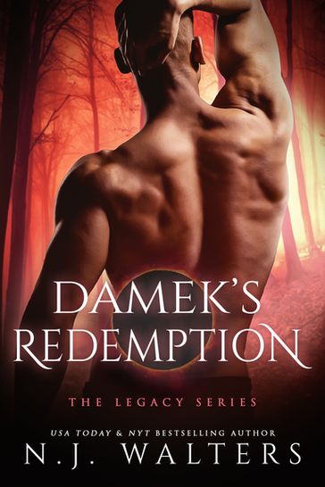 Damek's Redemption - N.J. Walters