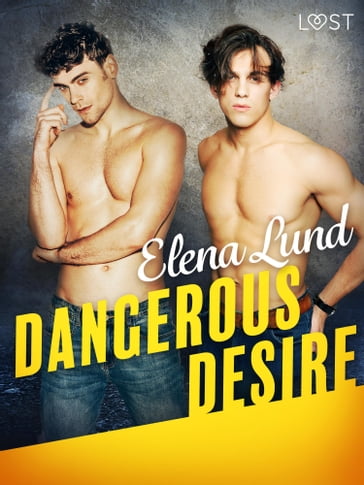 Dangerous Desire - Erotic Short Story - Elena Lund