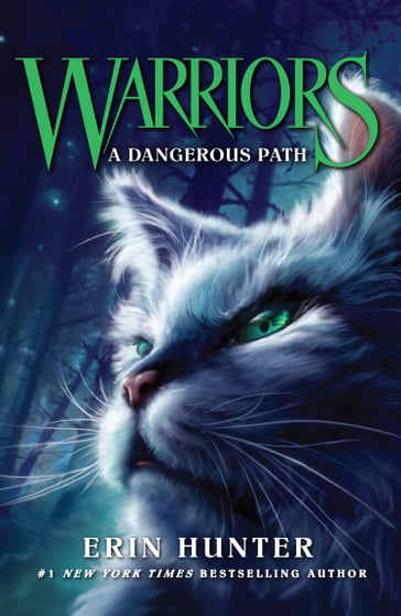 A Dangerous Path (Warriors, Book 5) - Erin Hunter