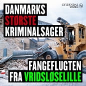 Danmarks største kriminalsager: Fangeflugten fra Vridsløselille