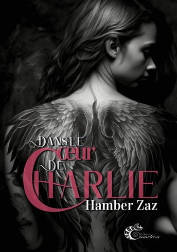 Dans le coeur de Charlie - Hamber Zaz