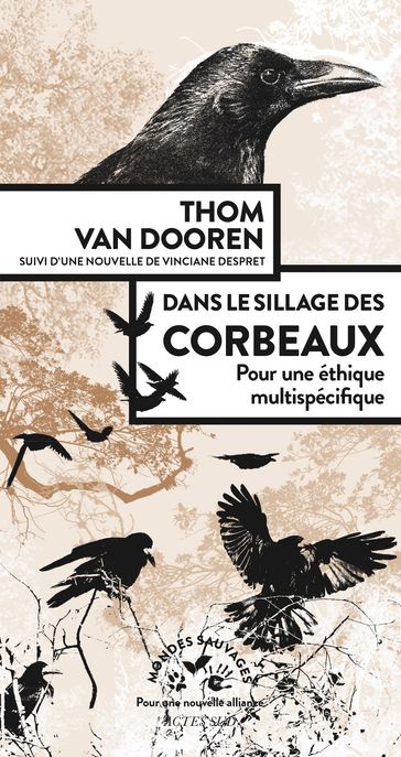 Dans le sillage des corbeaux - Thomas Van Dooren - Vinciane Despret