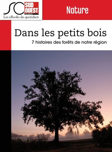 Dans les petits bois - Pierre Tillinac - Jacques Ripoche - Journal Sud Ouest