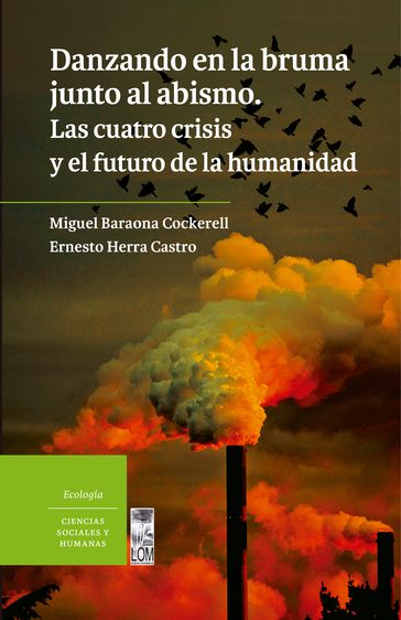 Danzando en la bruma junto al abismo - Ernesto Herra Castro - Miguel Baraona