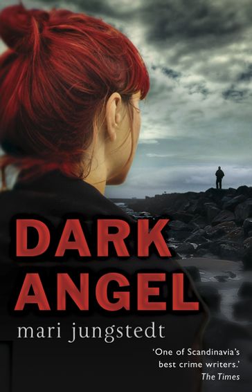 Dark Angel - Mari Jungstedt