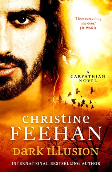 Dark Illusion - Christine Feehan