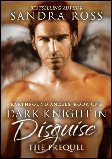 Dark Knight in Disguise, The Prequel - Sandra Ross