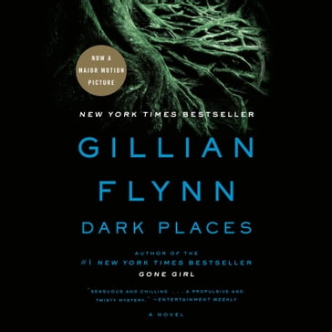 Dark Places - Gillian Flynn