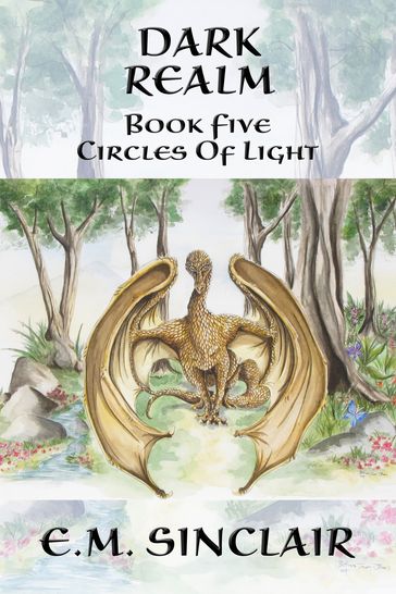 Dark Realm: Book 5 Circles of Light series - E.M. Sinclair