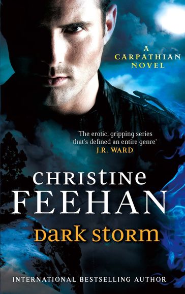 Dark Storm - Christine Feehan