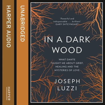 In a Dark Wood: What Dante Taught Me About Grief, Healing, and the Mysteries of Love - Joseph Luzzi