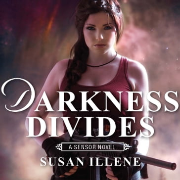 Darkness Divides - Susan Illene