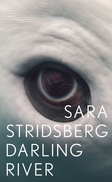Darling River - Sara Stridsberg - Nina Ulmaja