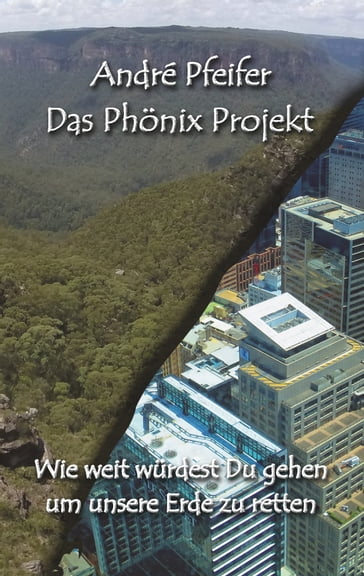 Das Phönix Projekt - André Pfeifer