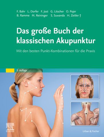 Das große Buch der klassischen Akupunktur - Frank R. Bahr - Gerhard Litscher
