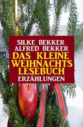 Das kleine Weihnachtslesebuch: Erzählungen