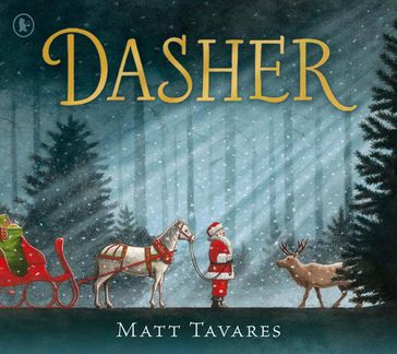 Dasher - Matt Tavares