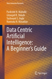 Data Centric Artificial Intelligence: A Beginner