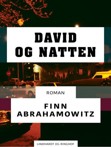 David og natten - Finn Abrahamowitz