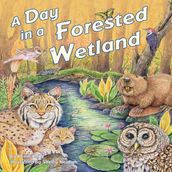 Day in a Forested Wetland, A