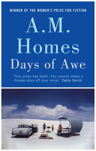 Days of Awe - A.M. Homes