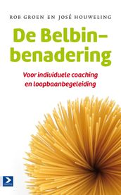 De Belbin-benadering