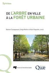 De l arbre en ville à la forêt urbaine