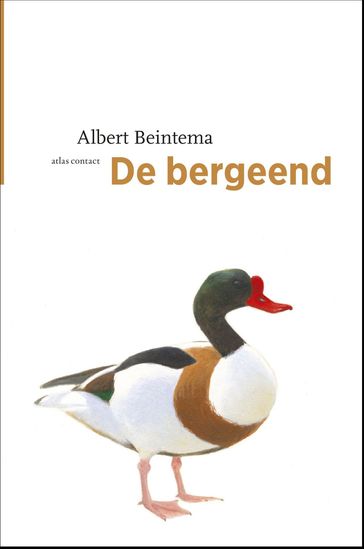 De bergeend - Albert Beintema