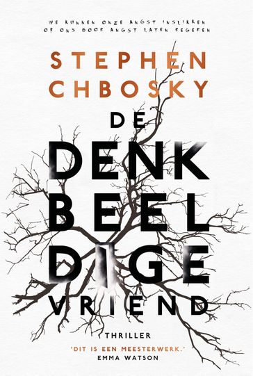 De denkbeeldige vriend - Stephen Chbosky