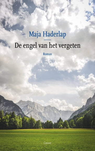 De engel van het vergeten - Maja Haderlap