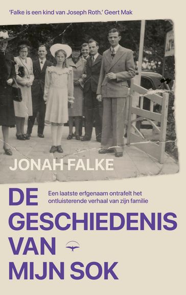 De geschiedenis van mijn sok - Jonah Falke