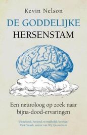 De goddelijke hersenstam