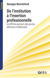 De l institution à l insertion professionnelle