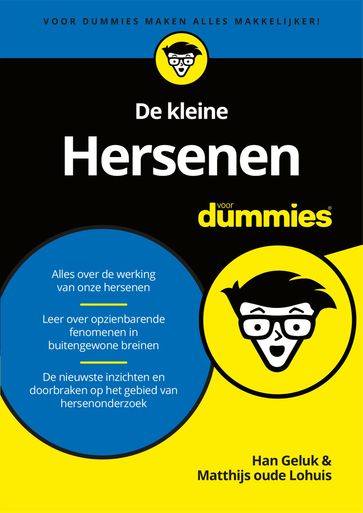 De kleine Hersenen voor Dummies - Hans Geluk - Mathijs Oude Lohuis