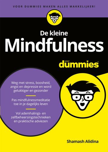 De kleine Mindfulness voor Dummies - Shamash Alidina