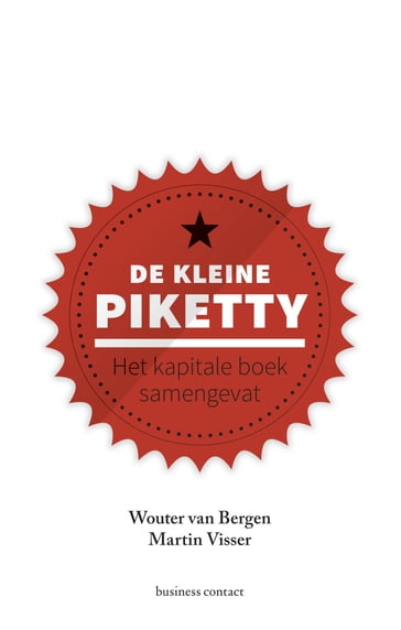 De kleine Piketty - Martin Visser - Wouter van Bergen