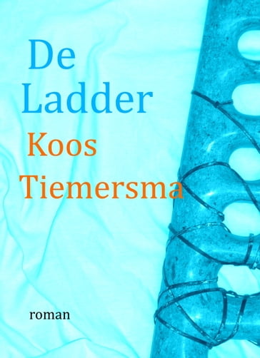 De ladder - Koos Tiemersma