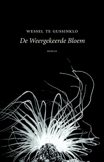 De weergekeerde bloem - Wessel te Gussinklo