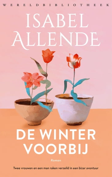 De winter voorbij - Isabel Allende
