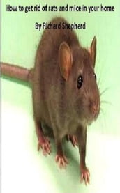 Dealing with rats and mice in your home: kill or humane methods