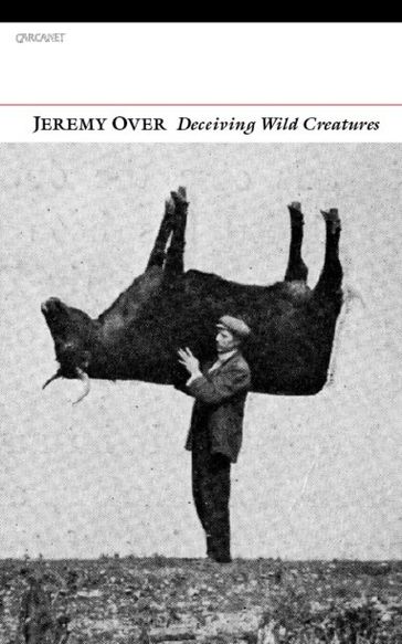 Deceiving Wild Creatures - Jeremy Over