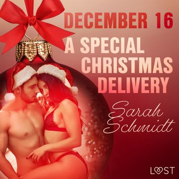December 16: A Special Christmas Delivery  An Erotic Christmas Calendar - Sarah Schmidt